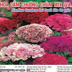 cam-chuong-chum-mix-va68