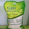 gao-huu-co-huong-lai